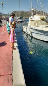 SIBIU testing at sailing living lab
