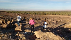 Morocco desert tour palm trees