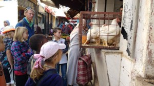 Salé Medina Tour with Sail Ventus crew