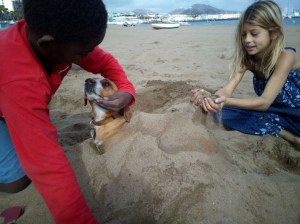 Kids playing with dog at the beach