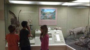 SV Soledad crew learning about Canarian aborigines