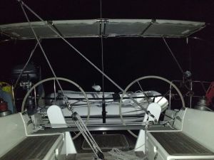 Bird having a night rest in TT SV Soledad