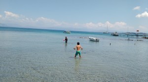 Petriti transparent beach