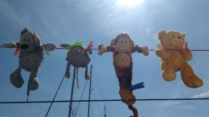 Cleaning passive crew