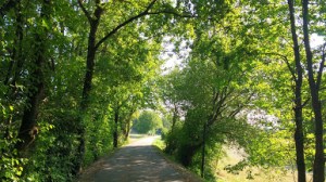 Fall at Divonne les Bains